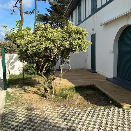 Renovated Duplex With Garden - And Port Within Walking Distance * Capbreton